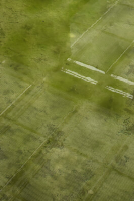 Saskia Darija Gettel